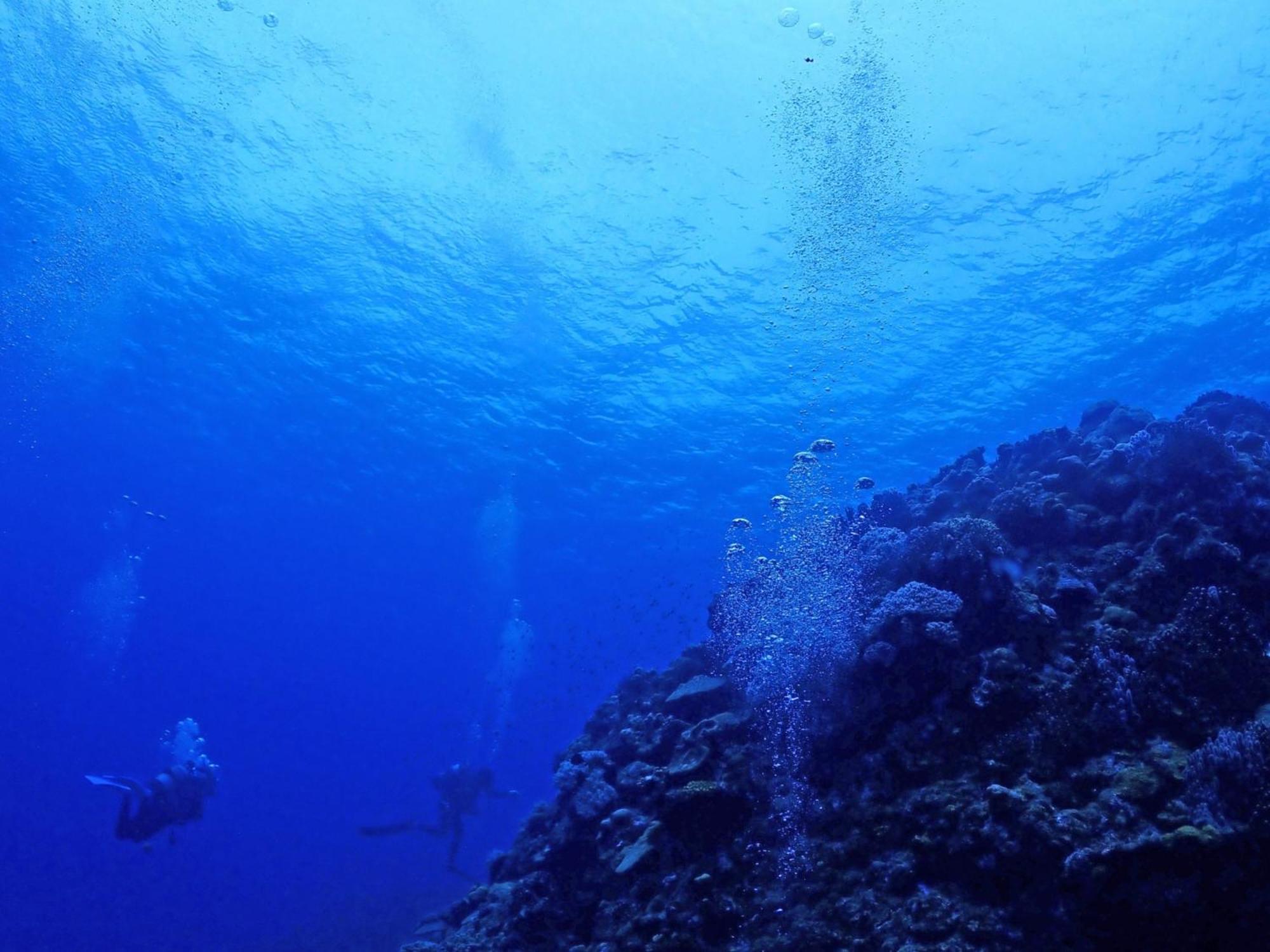 石垣島グループの宿 2216 にじいろ ユーグレナモール内 Ishigaki  Bagian luar foto